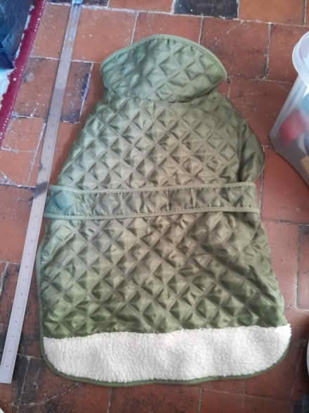 Photo of free Various dog items (Audley ST7) #4