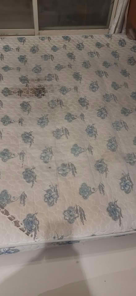 Photo of free Queen size matress (Dhayari pune) #1