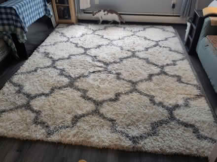 Photo of free Large rug (Capitol Hill) #1