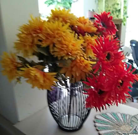 Photo of free Signal boosters,Vase,Cornucopia (In Champaign off Prospect) #2