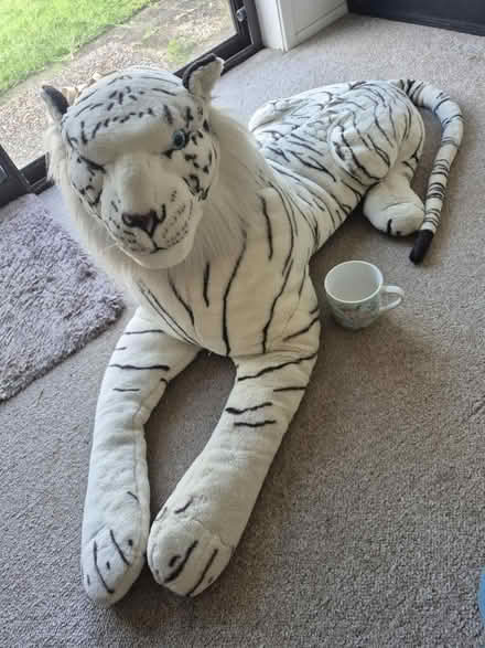 Photo of free Large stuffed tiger (Chittaway Bay) #1