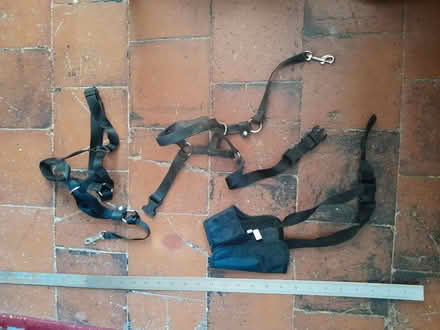 Photo of free Various dog items (Audley ST7) #2