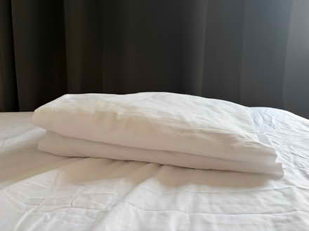 Photo of free white double cotton bedsheet (Earl’s Court SW5) #1