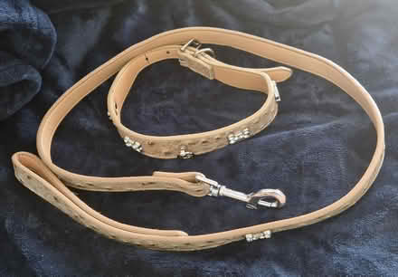 Photo of free Leather dog lead and collar (Oldends Farm GL10) #1