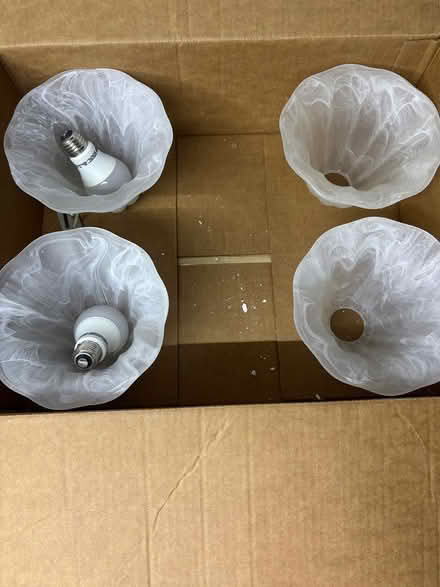Photo of free Chandeliers (Near Ridgedale) #2
