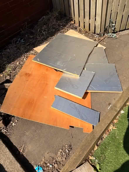 Photo of free Ply wood and insulation (Wybourn S2) #1
