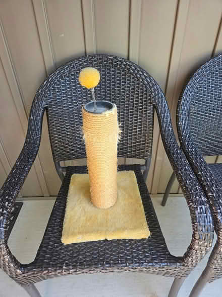 Photo of free Cat scratching posts (Experimental Farm) #1
