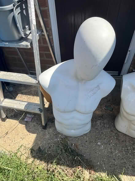 Photo of free Mannequin (Ipswich IP2) #1