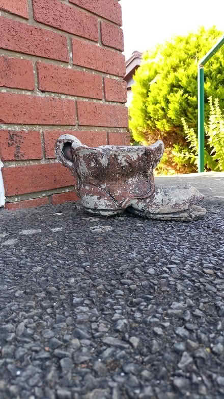 Photo of free Plant Pot - Shoe (Barry, CF62) #2