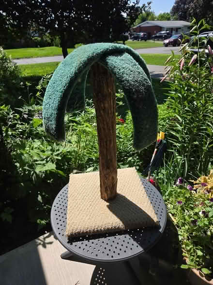 Photo of free Cat scratching posts (Experimental Farm) #2