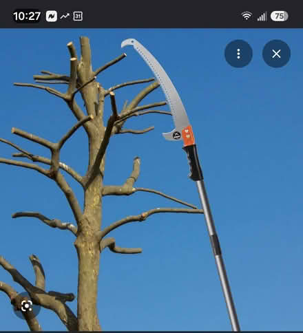 Photo of free Manual tree cutting tool (Snellville) #1
