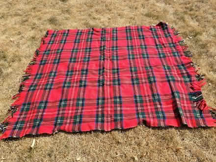 Photo of free Picnic blanket (Didcot - Ladygrove) #1