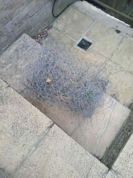 Photo of free Chicken Wire (2) (Hangleton, Hove, BN3) #1