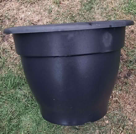 Photo of free Large plant pot (South Wootton PE30) #1