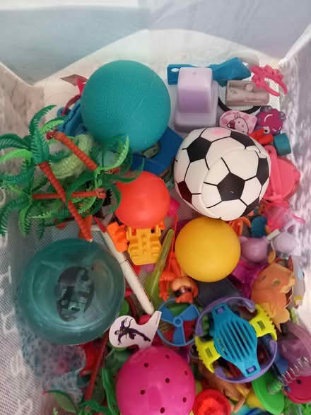 Photo of free random kids toys (RG6 near Palmer Park) #3