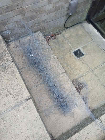 Photo of free Chicken wire (1) (Hangleton, Hove, BN3) #1
