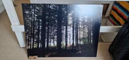 Photo of free Three large forest pictures (Hillsborough S6) #1