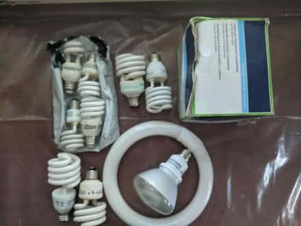 Photo of free fluorescent bulbs, ceiling fixture (Ann Arbor near Hillside Terr.) #1