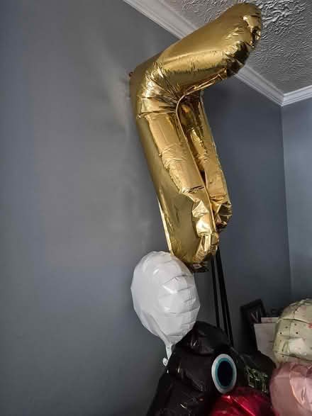 Photo of free Fun stuff (Bowie) #3
