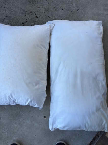 Photo of free Couple good bed pillows (Mitty High area) #1