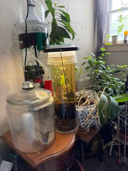 Photo of Small aquarium, terrarium supplies (Lansford) #1