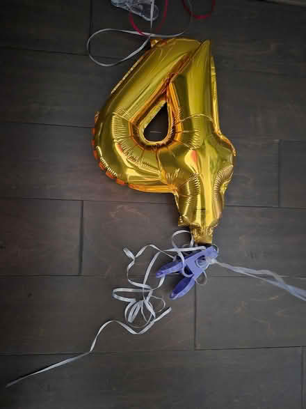 Photo of free Fun stuff (Bowie) #4