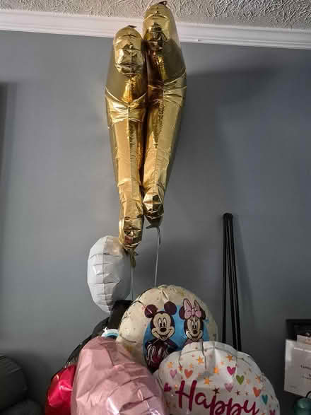Photo of free Fun stuff (Bowie) #2