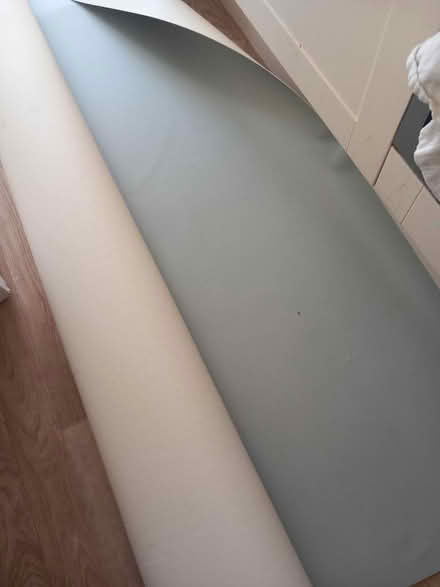 Photo of free Sage Green Vinyl (Aspley NG8) #1