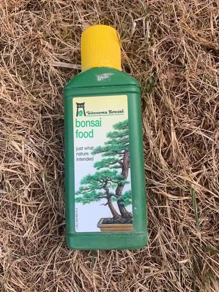 Photo of free Bonsai food (Hoddesdon, EN11) #1