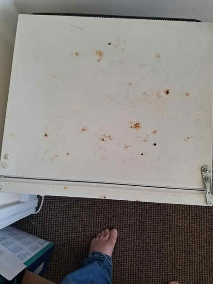 Photo of free Small freezer (Littleover DE23) #3