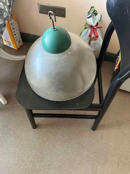 Photo of free droll yankees squirrel guard (Upper Norwood SE19) #1