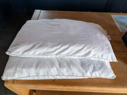 Photo of free Pair of hollow fiber pillows (Wantage, OX12) #1