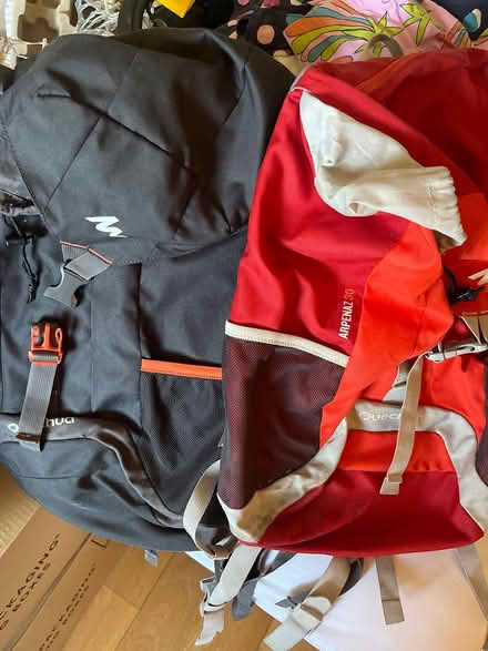 Photo of free Travel rucksacks (Penge SE20) #1