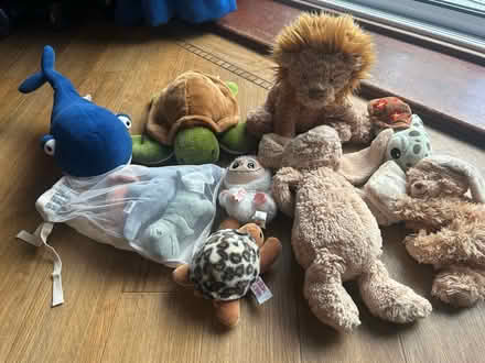 Photo of free Plushies (Rochester ME1) #1