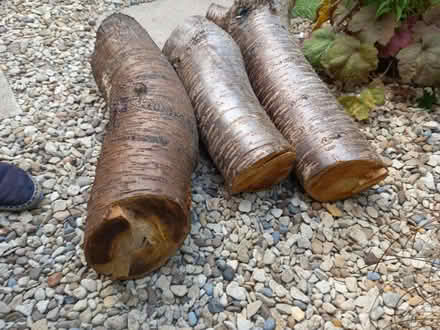 Photo of free 3 good size chuncks of Cherry wood (Didcot OX11) #1