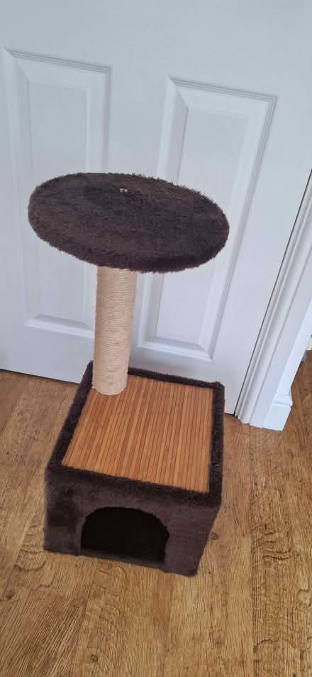 Photo of free Cat Scratching Post (Tiptree CO5) #1