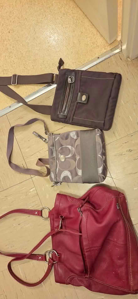 Photo of free Clothes & purses (Oxford at cherryhill) #1