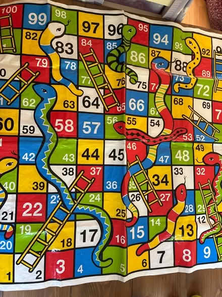 Photo of free Snakes and ladders garden 1 (Alvechurch B48) #1