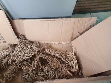 Photo of free Cardboard and packaging (Heysham LA3) #3