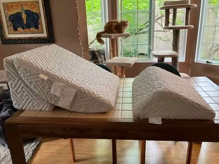 Photo of free Orthopedic bed pillows (Lake Forest Park) #1