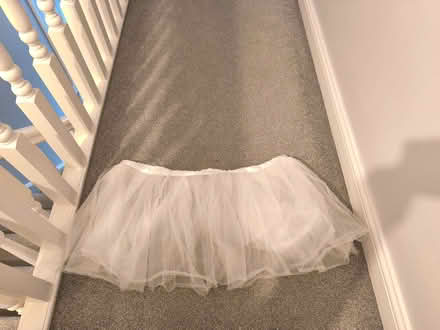 Photo of free Big tutu (Southend SS2) #1