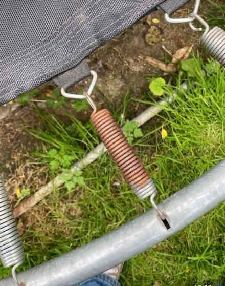 Photo of free Plum 6ft trampoline (ME139 bh) #3
