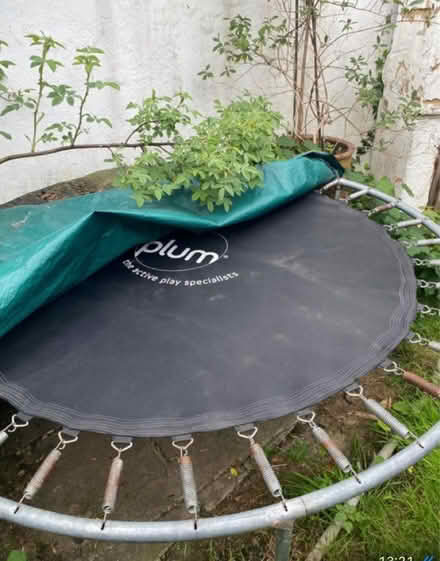 Photo of free Plum 6ft trampoline (ME139 bh) #1
