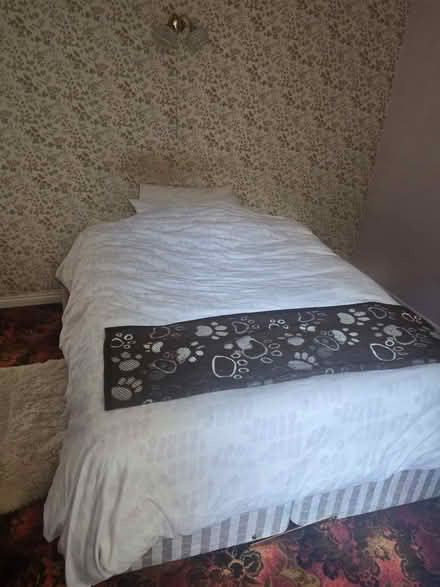 Photo of free Double divan bed and mattress (Epping CM16) #3