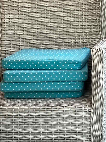 Photo of free Four chair cushions for patio (Wickford SS12) #2